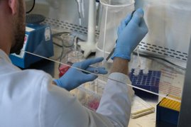 Mensch im Labor am pipettieren