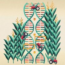 Illustration der neuartigen Analysemethode