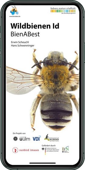 Screenshots aus der App „Wildbienen Id BienABest“ Screenshots aus der App „Wildbienen Id BienABest“