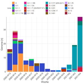 CoV-2 Varianten in Schleswig-Holstein in den Jahren 2020 und 2021.