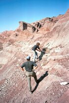Grabung im Junggar-Becken in Nordwest-China im Jahr 2001: Fundstelle des Dinosaurierknochens mit Bissspuren. 