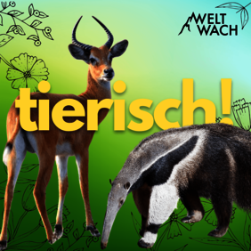 Der Tierisch! Podcast