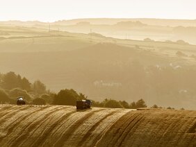 Durch den verstärkten Eintrag von Kohlenstoff in den Boden ließen sich der Klimawandel verlangsamen und gleichzeitig die Ernteerträge steigern