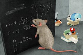 Mäuse bilden Kategorien, um ihre Welt zu vereinfachen