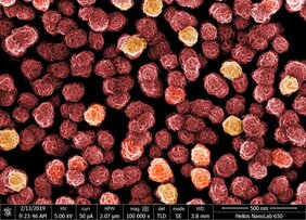 Blütenspektakel aus dem Zwergenland: Nanopartikel aus Eisen und Silber unter dem Mikro- skop. Eine «Blüte» ist rund 100 Nanometer klein. 