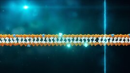 Ein Methylierter DNA-Strang