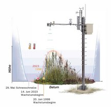 Grafik: Um sechs Tage hat sich der Beginn des Pflanzenwachstums in den Bergen seit 1998 nach vorne verlagert