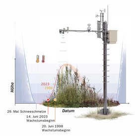 Grafik: Um sechs Tage hat sich der Beginn des Pflanzenwachstums in den Bergen seit 1998 nach vorne verlagert