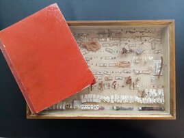 Die historische Blattflohsammlung sowie das Tagebuch des deutschen Forstwissenschaftlers Theodor Hartig 