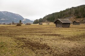 Stickstoff-Fußabdruck Gülle