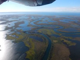 Kobuk Delta in Alaska. Die Deltas von Flüssen in der Arktis speichern viel Kohlenstoff, der dort in gefrorenen Böden und Sedimenten gebunden ist. 