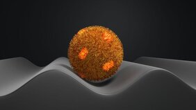 Haftfähigkeit von Staphylococcus-aureus-Zellen