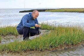 Tobias Pfingstl bei der Feldforschung in Japan: Der Biologe hat mit seinem Team Biodiversität und Klimawandel untersucht. 