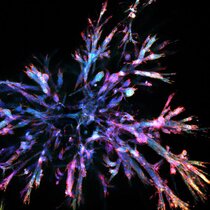 Bauchspeicheldrüsenkrebs-Organoid  