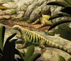 Rekonstruktion von Eunotosaurus africanus aus Südafrika.