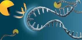 Grafik Messenger-RNA