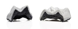 Backenzähne der beiden Menschenaffen als 3D-Druck in ca. 10-facher Vergrößerung