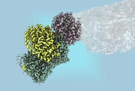 Mit einem bakteriellen Enzym könnte man zukünftig Plastik nachhaltig erzeugen 3D-Grafik bakterielles Enzym