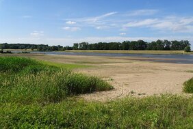 Elbe bei Schönberg im Juni 2018  