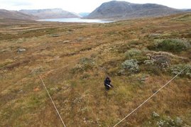 DarkDivNet-Standort in Norwegen eine von weltweit 5.500 Untersuchungsflächen des Forschungsnetzwerks.  