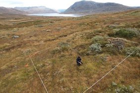 DarkDivNet-Standort in Norwegen eine von weltweit 5.500 Untersuchungsflächen des Forschungsnetzwerks.  