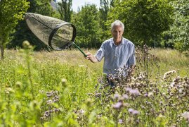 Die Mitarbeit fachkundiger Freiwilliger im Rahmen von Citizen Science-Projekten (hier beim Tagfaltermonitoring Deutschland, einem Projekt des UFZ) ist eine tragende Säule von Biodiversitätsmonitorings in Deutschland