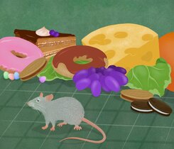Grafik einer Maus die sich vor verschiedenen Lebensmitteln befindet