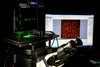 Um Ribosomen in Echtzeit zu beobachten, nutzte das Team Total-Internal-Reflection-Fluoreszenz-Mikroskopie (TIRF)