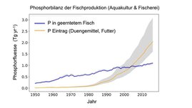 Phosphorbilanz (P) der globalen Fischproduktion von 1950 bis 2016 