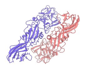 Struktur des natürlichen Insektizidproteins Tpp49Aa1