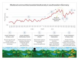   Infografik zur Veränderung der Pflanzenvielfalt im Laufe der Zeit 