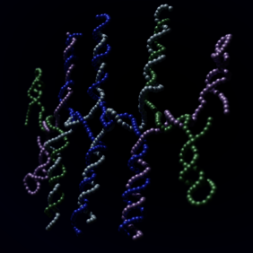 Ein Replikator aus tRNA-ähnlichen Sequenzen
