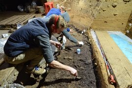 Ausgrabungsarbeiten in der IUP-Schicht I in der Bacho-Kiro-Höhle. Aus dieser Schicht wurden vier Homo sapiens-Knochen sowie zahlreiche Steinwerkzeuge, Tierknochen, Knochenwerkzeuge und Anhänger geborgen