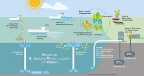 Ozeane  Negativemissionstechnologien