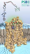 Adenosinrezeptor-Antagonist (farbig) bindet an winzige Antennen auf der Oberfläche der Immunzellen