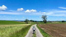 Weg durch Felder