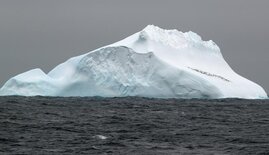 Eisberg in der Scotia-See Düngeeffekt