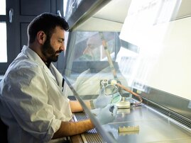 Mohammed Aizouq entnimmt einer Petrischale mit dem Cyanobakterium Synechocystis einige Zellen für weitere Analysen. Die Blaualge verfügt über ein Enzym, mit dem sie Öl synthetisieren kann. 