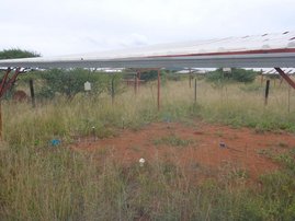 Versuchsgelände in Südafrika Graslandschaft