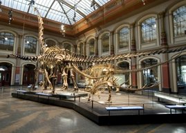 Sauriersaal im Naturkundemuseum Berlin
