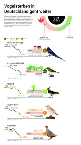 Auswahl einiger besonders stark zurückgegangener Brutvogelarten in Deutschland.