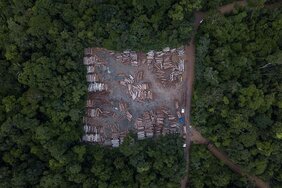 Ein Holzlagerplatz, der das Ausmass des Holzeinschlags in der Landschaft des Amazonasgebiets zeigt.