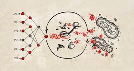 Illustration zur Kopplung von Deep Learning und Synthetischer Biologie zur Wirkstoffsuche 