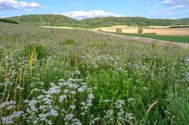 Landschaft im Landkreis Northeim Landschaft im Landkreis Northeim