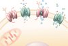 Schematische Darstellung der SLC-Membrantransporter 