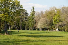 Der Karlsruher Fasanengarten ist ein Ort mit intakter Flora und Fauna und vielfältigem Baumbestand, in dem sich Menschen gerne aufhalten