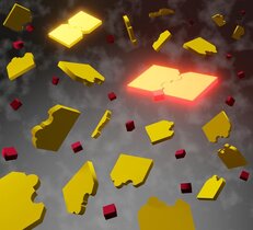 Wie Puzzleteile können sich die Proteine (gelb) zusammenfügen, um einen Komplex zu bilden. Erst dann sind sie funktionsfähig und in der Lage, sich mit den Zielmolekülen (rot) zu verbinden.