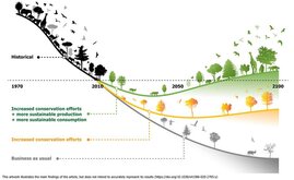Die gute Nachricht ist: Der Abwärtstrend der globalen Biodiversität kann noch immer umgekehrt werden.  
