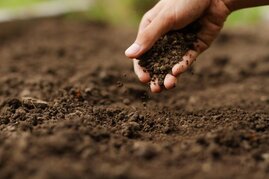 Veränderungen der mikrobiellen Diversität in Böden können wichtige Ökosystemfunktionen wie etwa den Nährstoffkreislauf beeinflussen. 