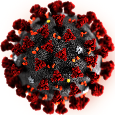 Ultrastruktur des 2019 Novel Coronavirus (2019-nCoV).